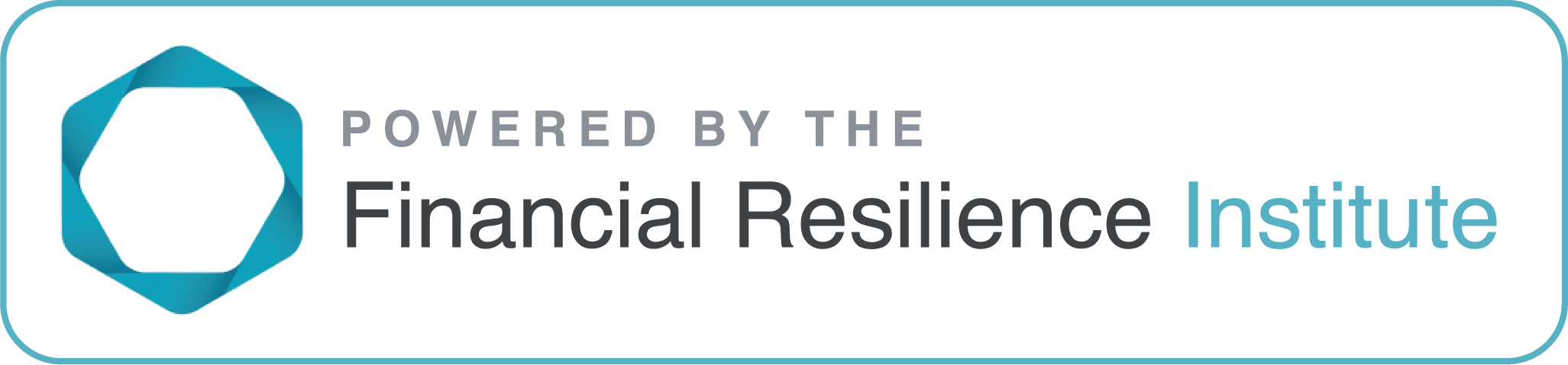 Powered by the Financial Resilience Institute